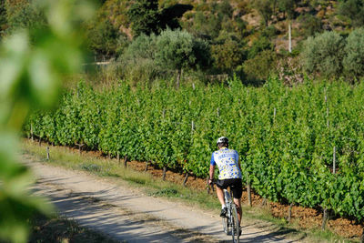 cycling through spain