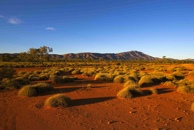 macdonnell ranges