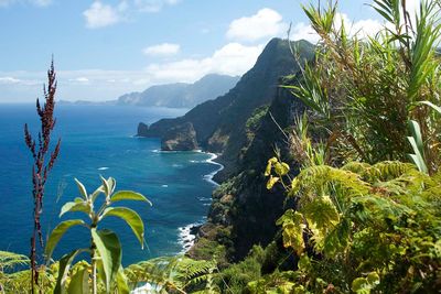 Coastline in Madeira