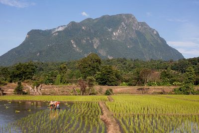 thailand chiang dao landscape