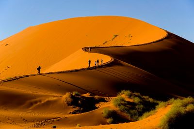 walking sand dune