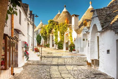 trulli houses