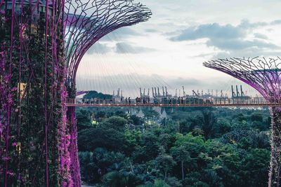 gardens of the bay