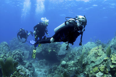 grenada diving