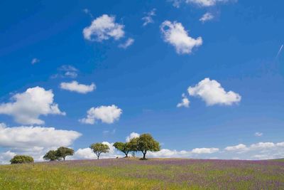alentejo countryside