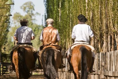 three gauchos
