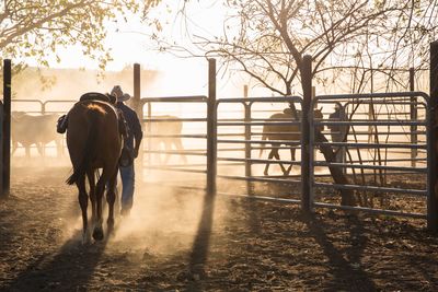 cowboy leading a horse