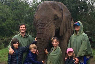 Pletternberg Bay elephant south africa