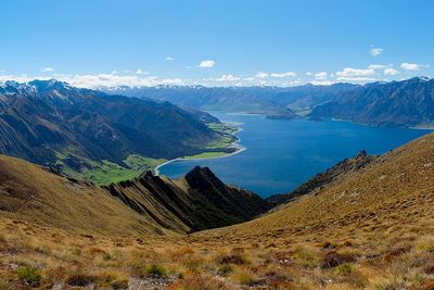 new zealand hasst pass