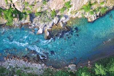 tara river