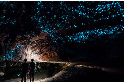 Waitomo Caves New Zealand