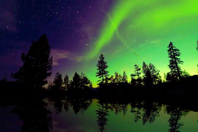 yukon northern lights