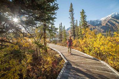 Walking in the Yukon