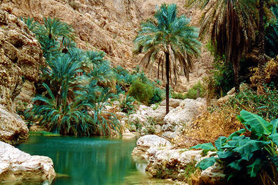 Wadi-Shab