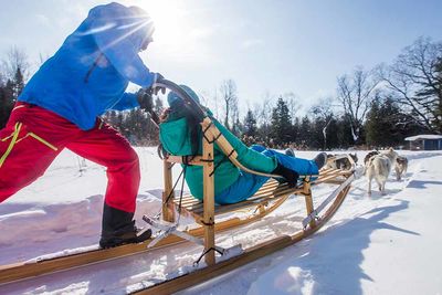 Dog Sledding Norway