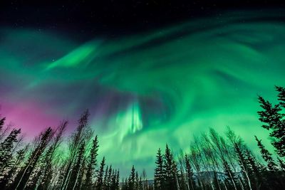 Northern Lights Scandinavia