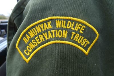 conservation detail