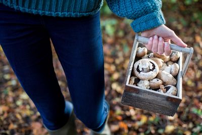 woman foraging mushrooms