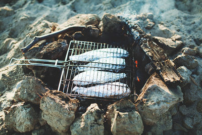 Cooking fish outside