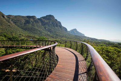 botanical garden cape town