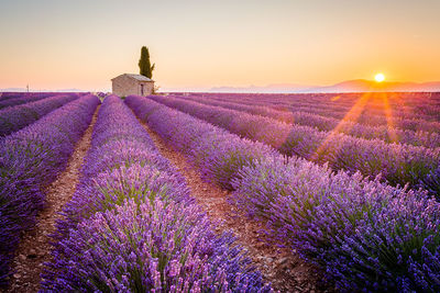 Provence
