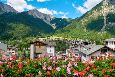 Chamonix in summer