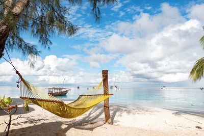 zanzibar hammock
