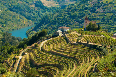 douro valley portugal