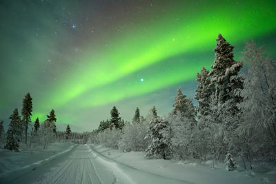 Northern Lights Lapland