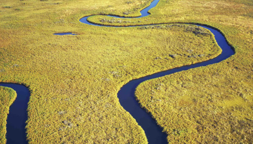 Aerial of Delta