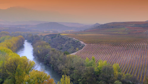 A River Winding Alongside the Vineyards of Rioja