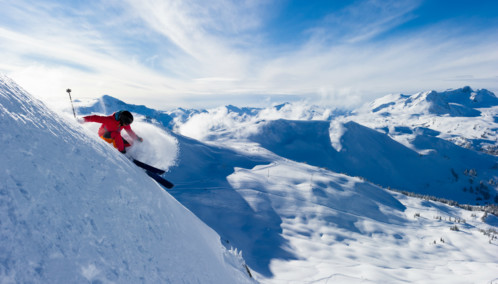 Professional Skiing in Whistler Mountain