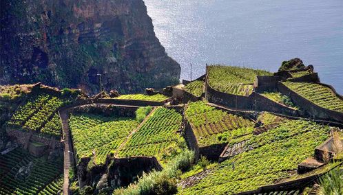 Hillside in Madeira