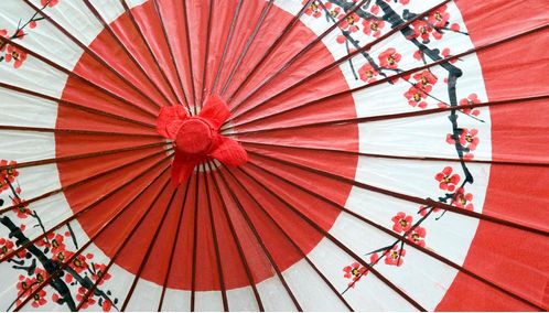 Japan parasol