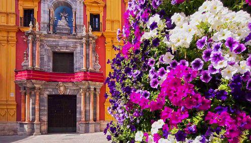 Malaga flowers