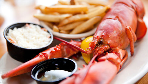Lobster lunch in New England