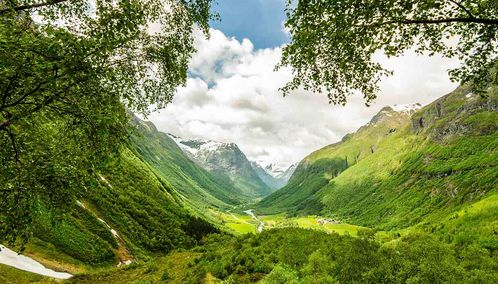 Fjord through trees