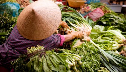 Vietnam food market