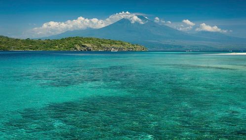 Menjangan, Bali