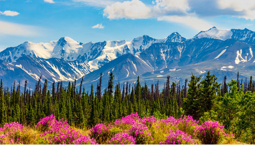 mountains yukon