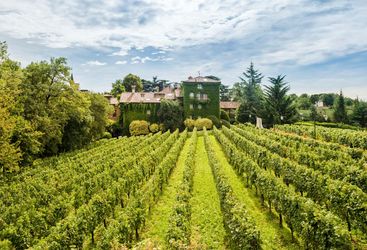 L'Albereta in the Italian Lake District