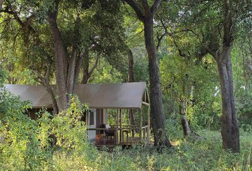 Shinde guest tent exterior in woodland