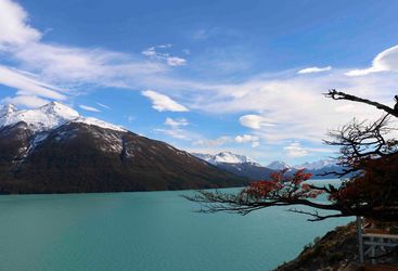 Lago Argentino