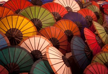 Colourful Parasols