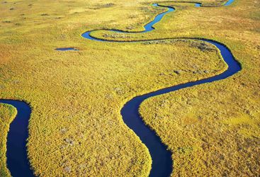 Aerial of Delta