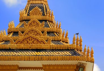 Phnom Penh Roof with Bird