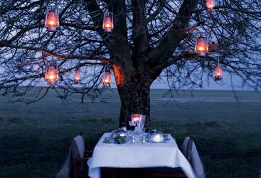 Bush dinner at Chem Chem, luxury Lodge in Tanzania
