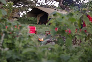 Lemala Ngorongoro, luxury tents in Tanzania
