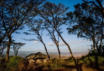 Entamanu Camp, Tanzania