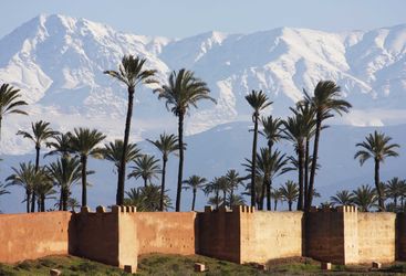 atlas mountains palm trees